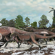 Image for article titled New Evidence Suggests Tyrannosaurs Hunted In Packs